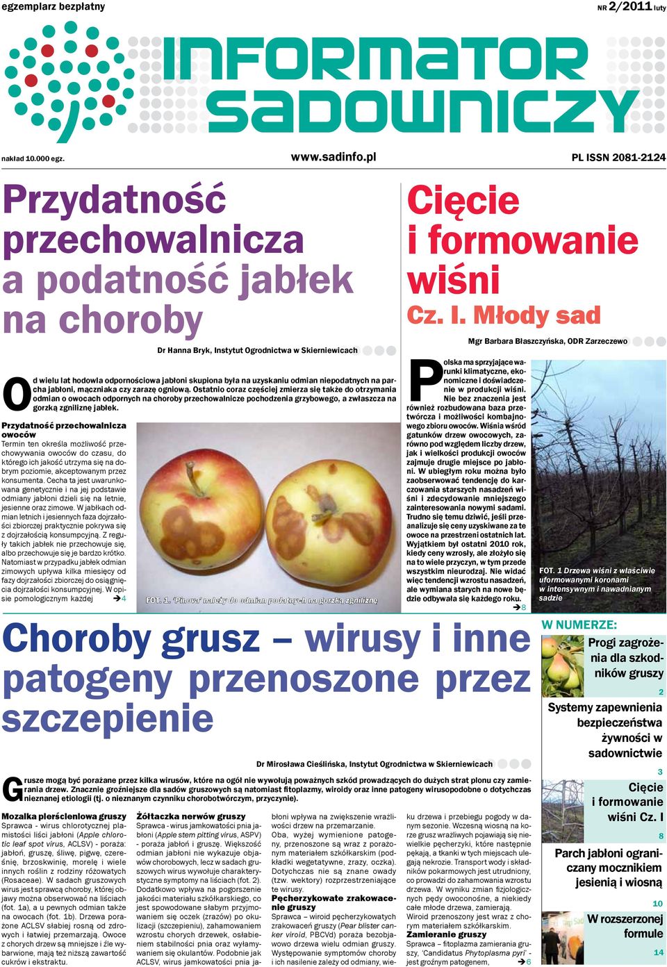 utrzyma się na dobrym poziomie, akceptowanym przez konsumenta. Cecha ta jest uwarunkowana genetycznie i na jej podstawie odmiany jabłoni dzieli się na letnie, jesienne oraz zimowe.