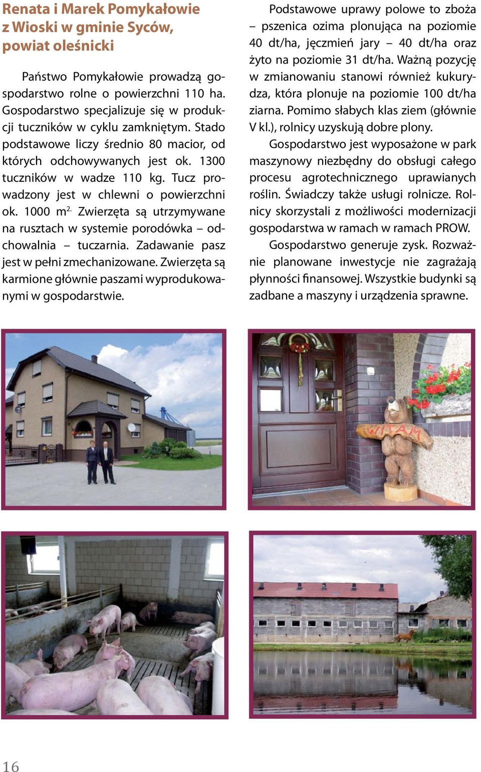 Tucz prowadzony jest w chlewni o powierzchni ok. 1000 m 2. Zwierzęta są utrzymywane na rusztach w systemie porodówka odchowalnia tuczarnia. Zadawanie pasz jest w pełni zmechanizowane.