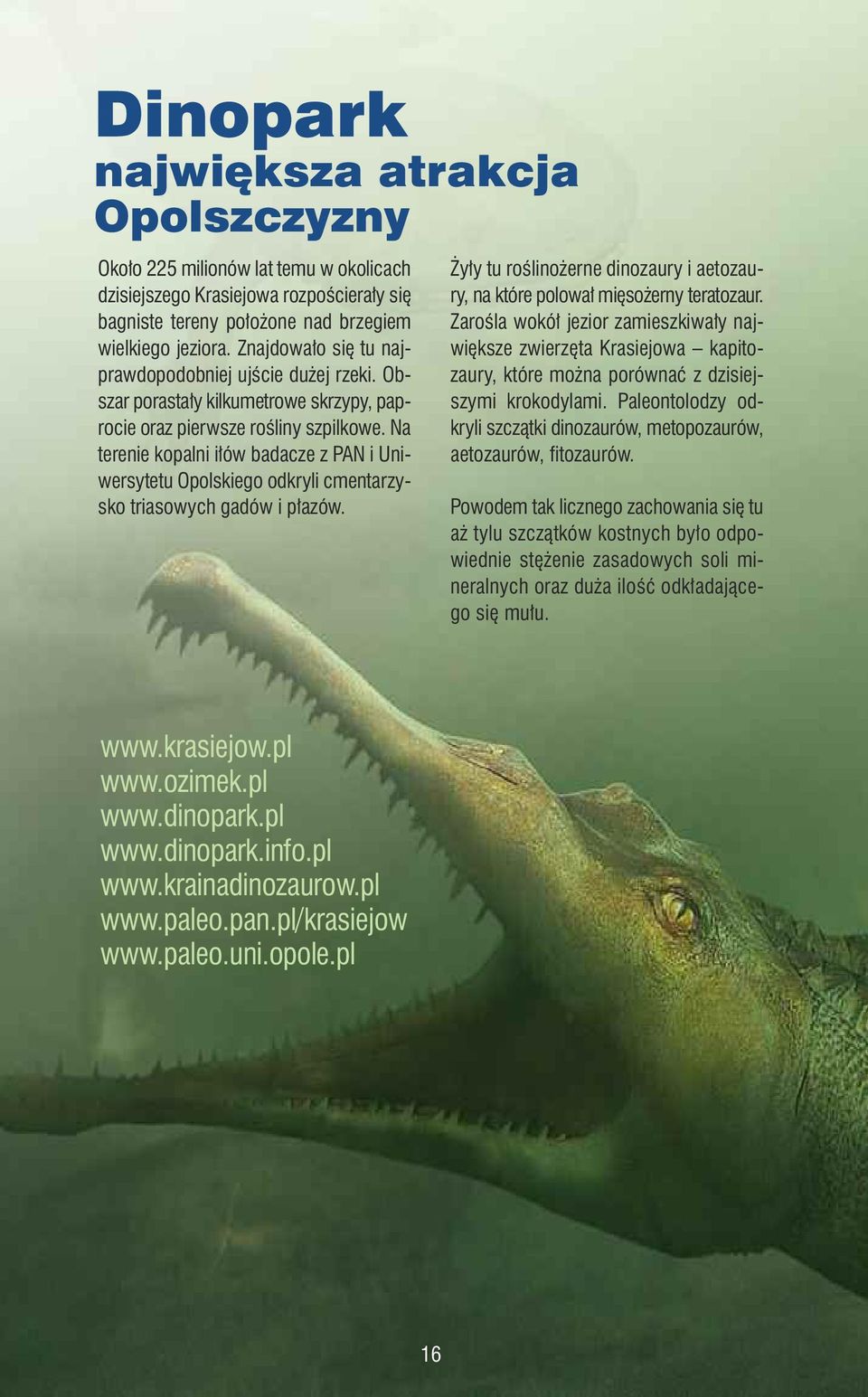 Na terenie kopalni iłów badacze z PAN i Uniwersytetu Opolskiego odkryli cmentarzysko triasowych gadów i płazów. Żyły tu roślinożerne dinozaury i aetozaury, na które polował mięsożerny teratozaur.