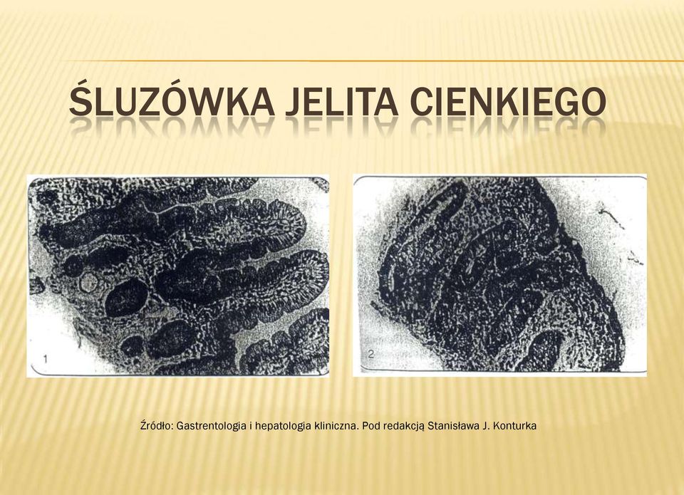 hepatologia kliniczna.