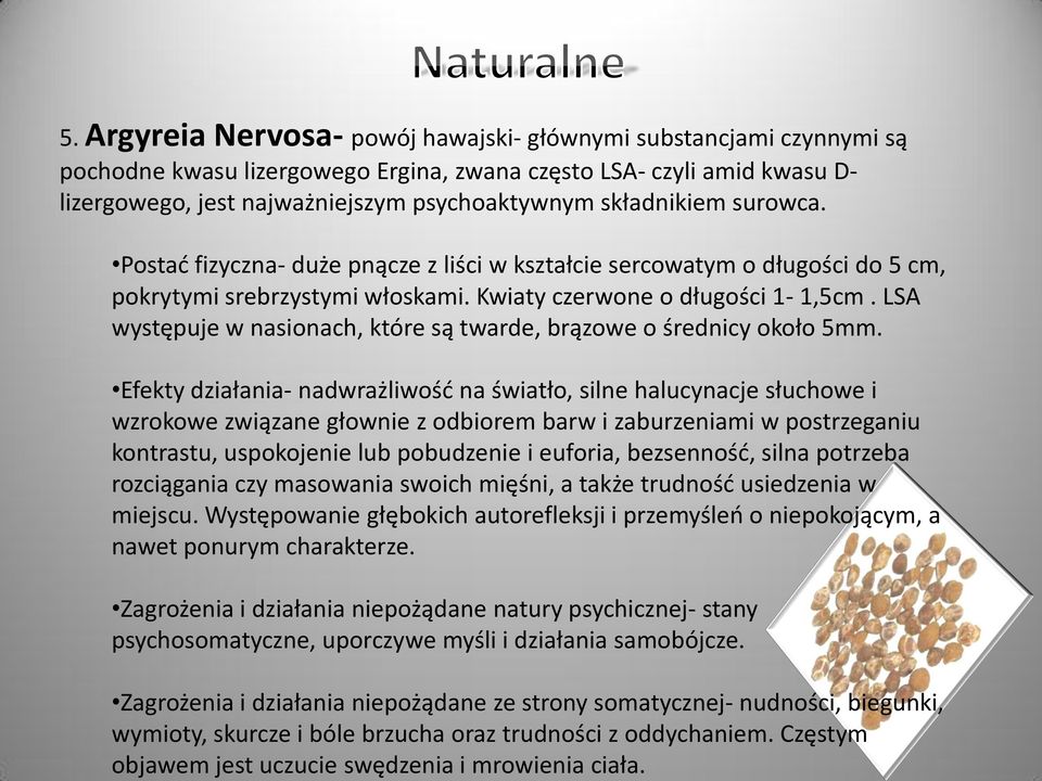 składnikiem surowca. Postad fizyczna- duże pnącze z liści w kształcie sercowatym o długości do 5 cm, pokrytymi srebrzystymi włoskami. Kwiaty czerwone o długości 1-1,5cm.