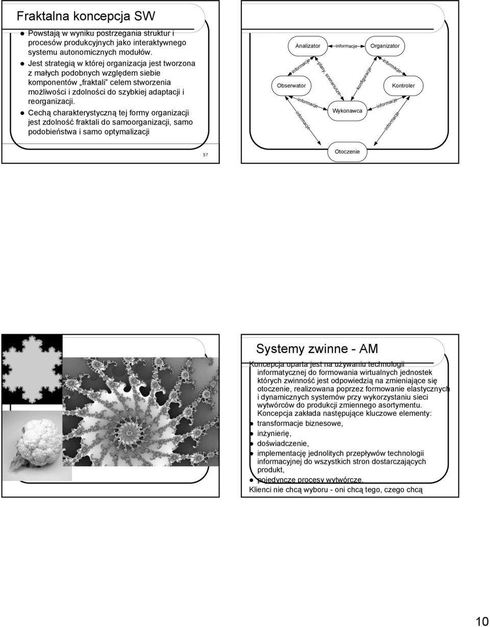 Cechą charakterystyczną tej formy organizacji jest zdolność fraktali do samoorganizacji, samo podobieństwa i samo optymalizacji Obserwator Analizator informacje informacje informacje plany,