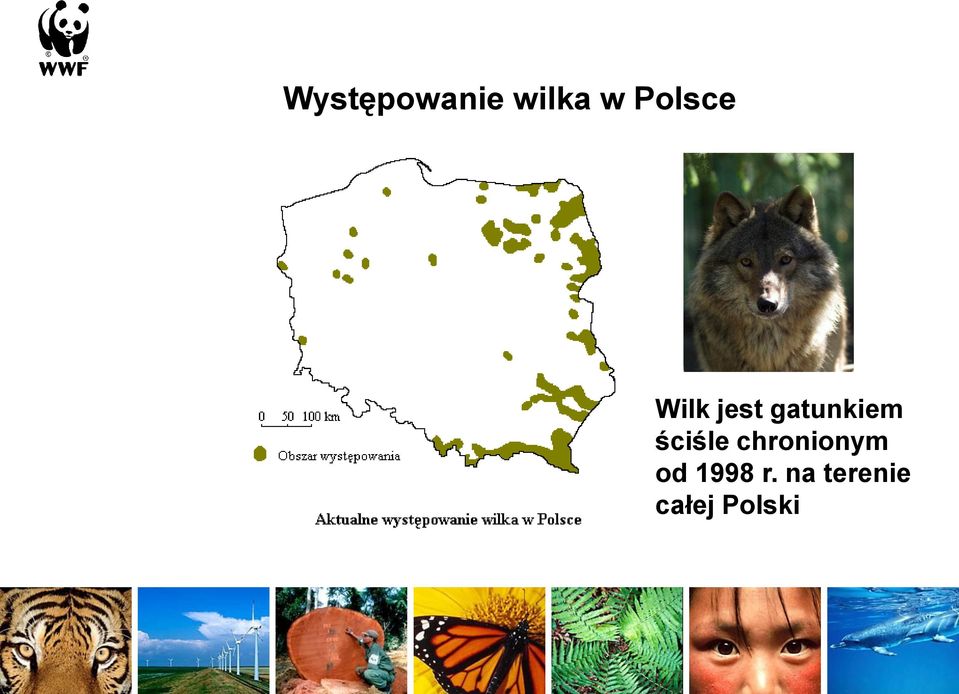 gatunkiem ściśle