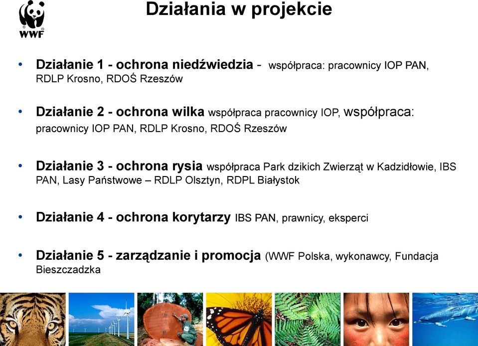 - ochrona rysia współpraca Park dzikich Zwierząt w Kadzidłowie, IBS PAN, Lasy Państwowe RDLP Olsztyn, RDPL Białystok