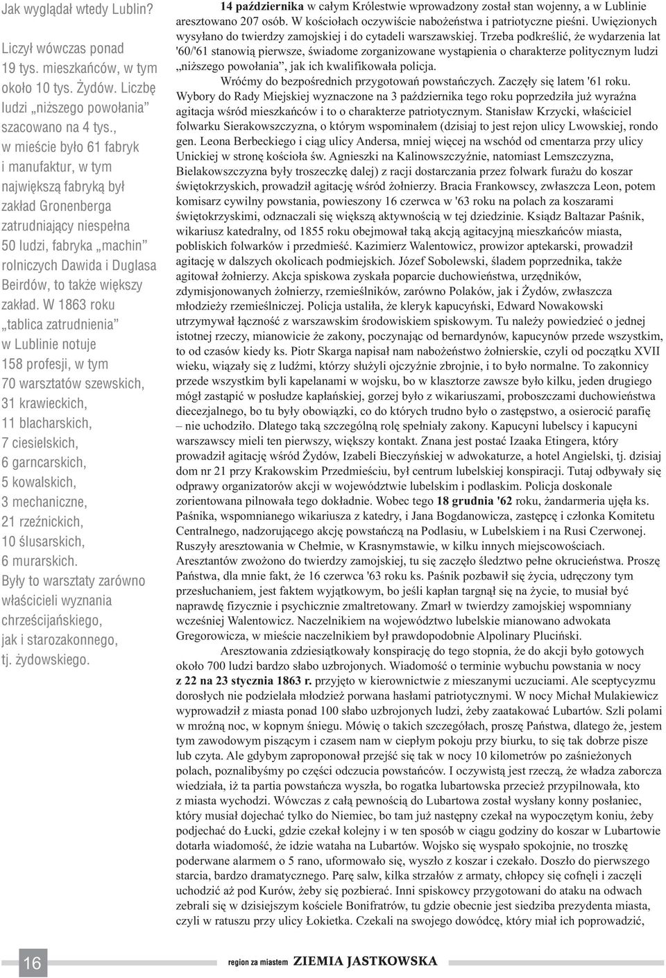 W 1863 roku tablica zatrudnienia w Lublinie notuje 158 profesji, w tym 70 warsztatów szewskich, 31 krawieckich, 11 blacharskich, 7 ciesielskich, 6 garncarskich, 5 kowalskich, 3 mechaniczne, 21