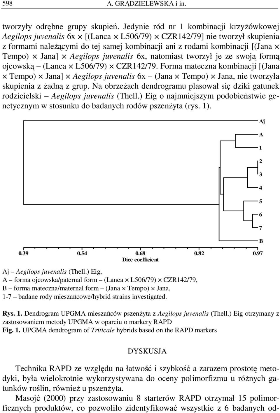 Jana] Aegilops juvenalis 6x, natomiast tworzył je ze swoją formą ojcowską (Lanca L506/79) CZR142/79.