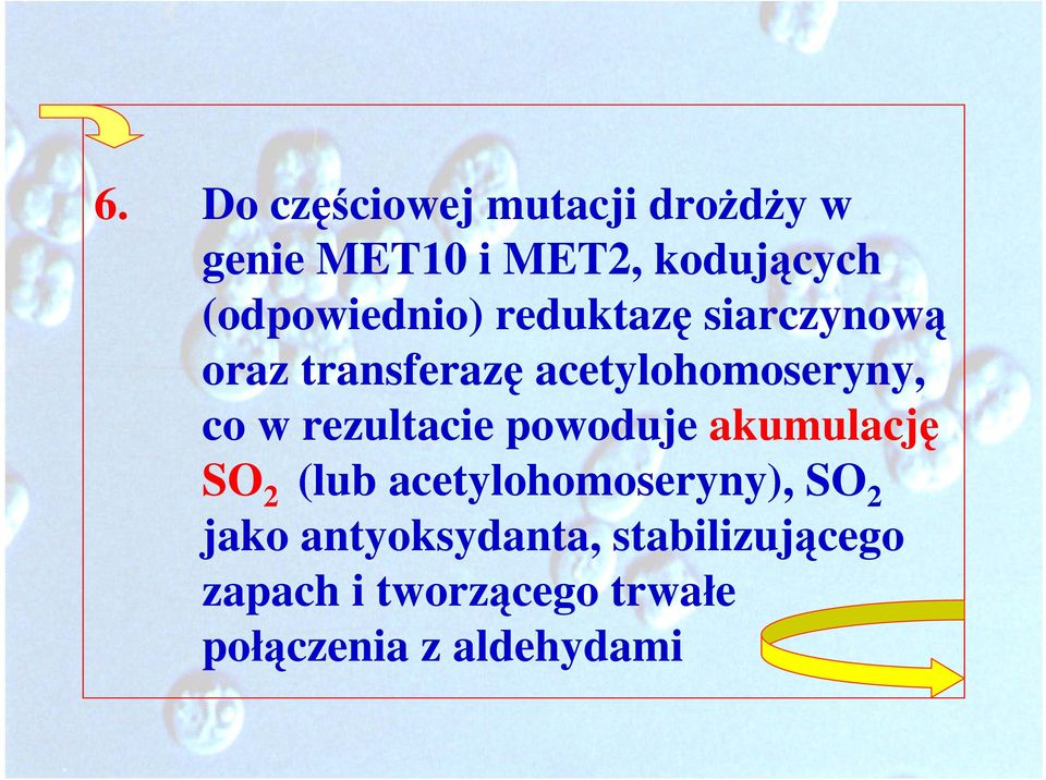 w rezultacie powoduje akumulację SO 2 (lub acetylohomoseryny), SO 2 jako