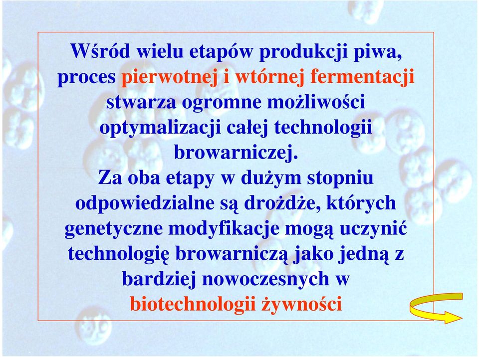 Za oba etapy w dużym stopniu odpowiedzialne są drożdże, których genetyczne