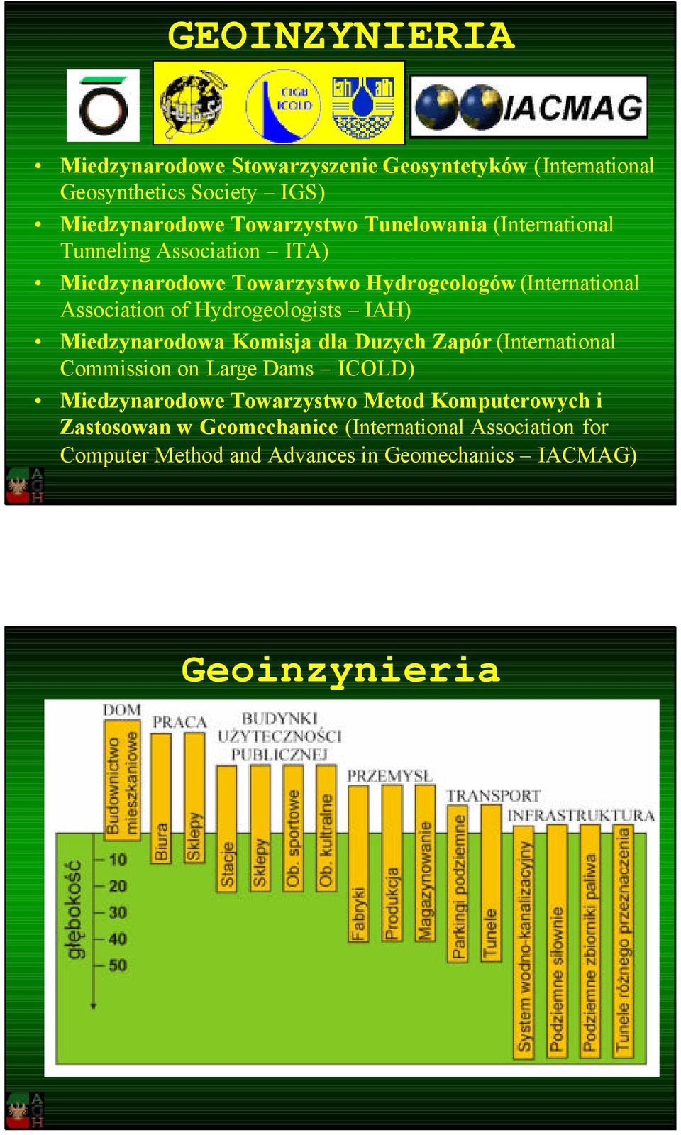 Hydrogeologists IAH) Miedzynarodowa Komisja dla Duzych Zapór (International Commission on Large Dams ICOLD) Miedzynarodowe