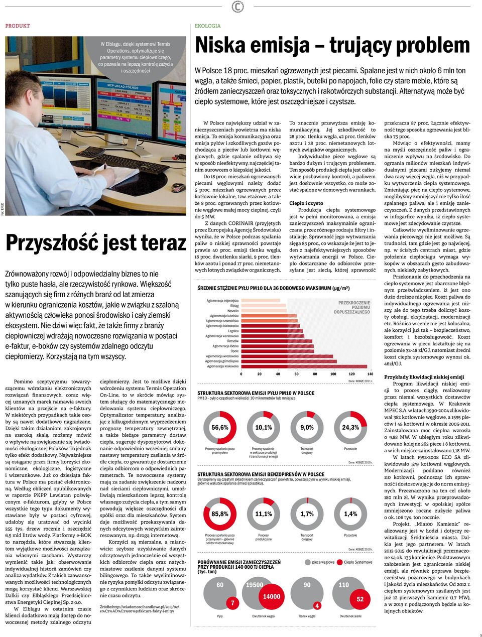 Spalane jest w nich około 6 mln ton węgla, a także śmieci, papier, plastik, butelki po napojach, folie czy stare meble, które są źródłem zanieczyszczeń oraz toksycznych i rakotwórczych substancji.