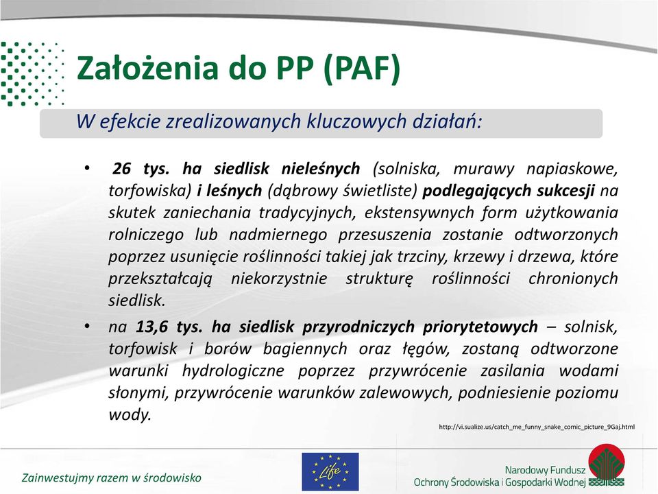 lub nadmiernego przesuszenia zostanie odtworzonych poprzez usunięcie roślinności takiej jak trzciny, krzewy i drzewa, które przekształcają niekorzystnie strukturę roślinności chronionych siedlisk.