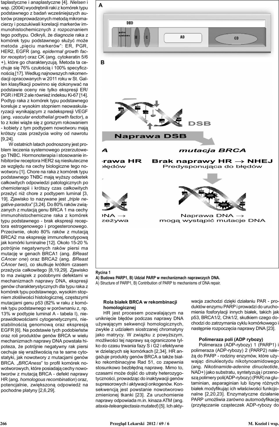 podtypu. Odkryli, e diagnozie raka z komórek typu podstawnego s³u yæ mo e metoda piêciu markerów : ER, PGR, HER2, EGFR (ang. epidermal growth factor receptor) oraz CK (ang.