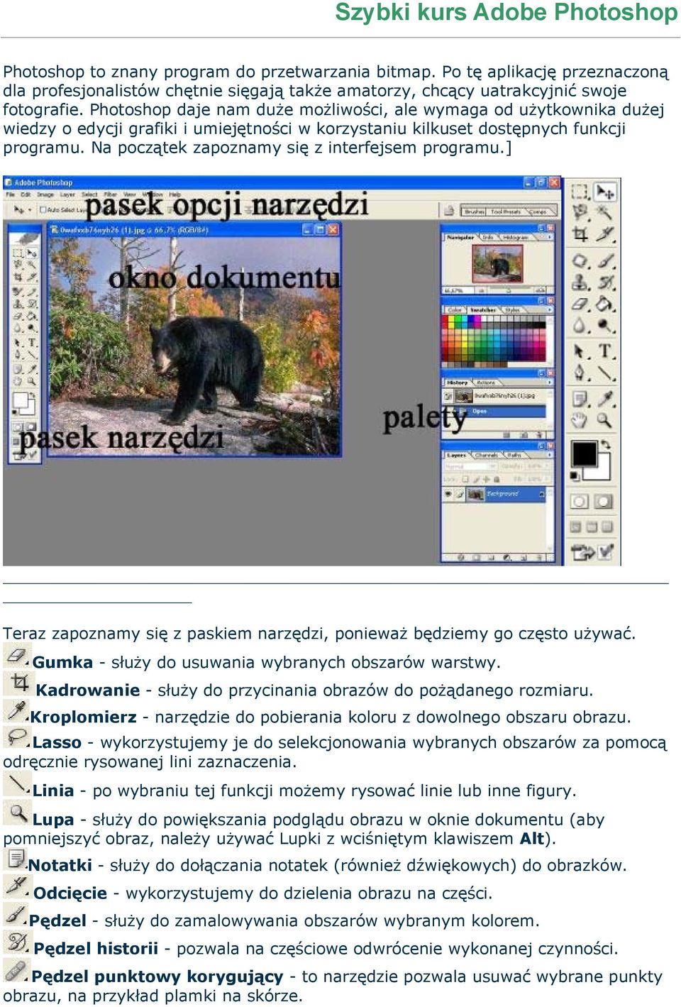 Na początek zapoznamy się z interfejsem programu.] Teraz zapoznamy się z paskiem narzędzi, ponieważ będziemy go często używać. Gumka - służy do usuwania wybranych obszarów warstwy.