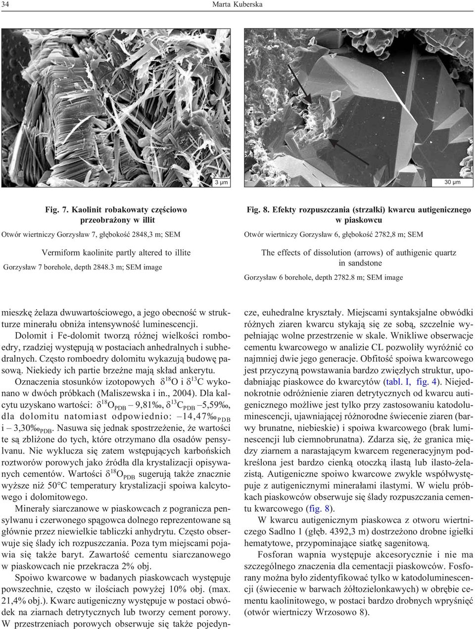 3 m; SEM image Fig. 8.