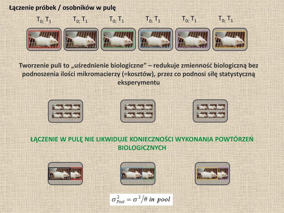 podnoszenia ilości mikromacierzy (=kosztów), przez co podnosi siłę statystyczną