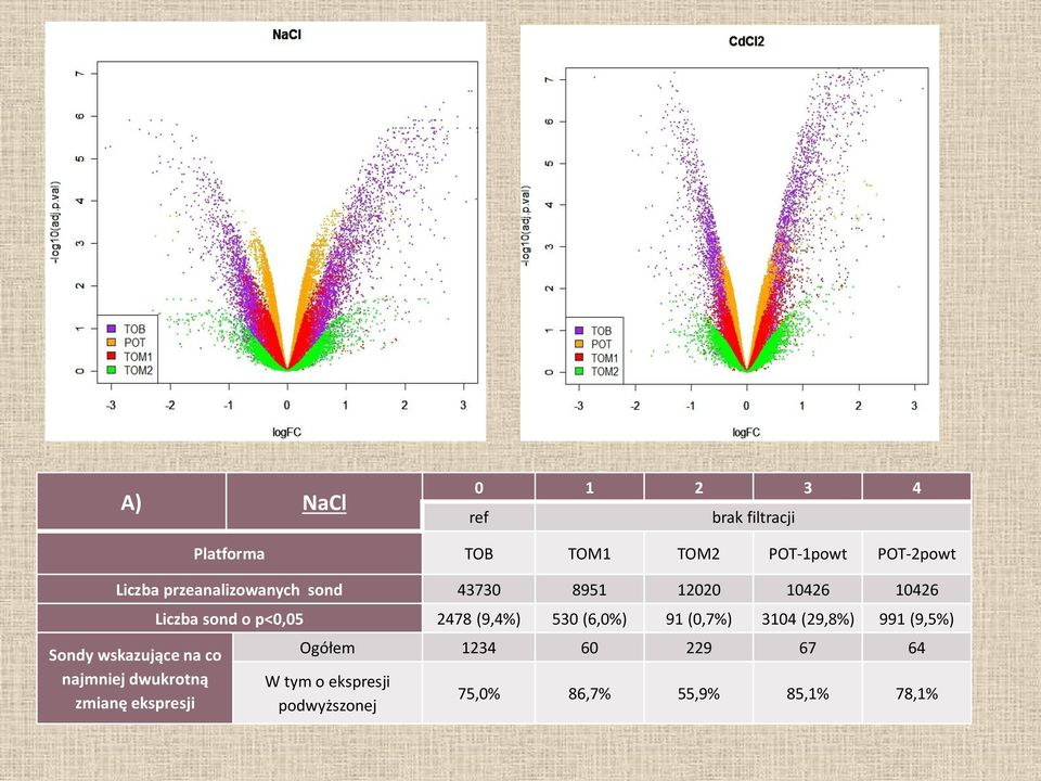 dwukrotną zmianę ekspresji Liczba sond o p<0,05 2478 (9,4%) 530 (6,0%) 91 (0,7%) 3104