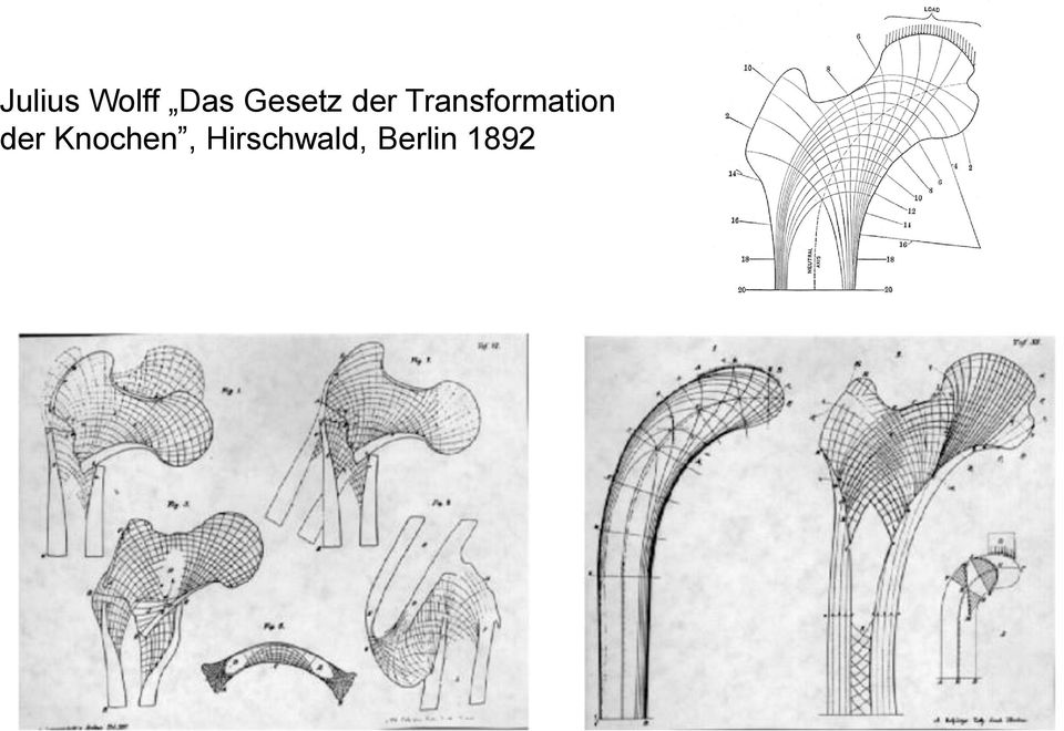 Transformation der