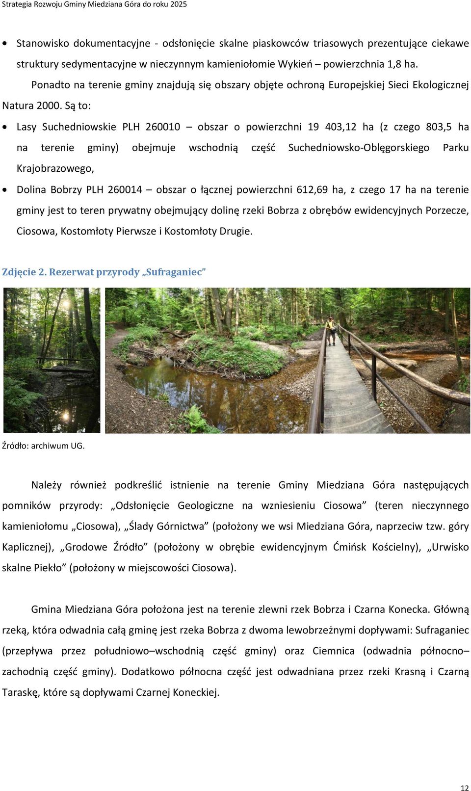 Są to: Lasy Suchedniowskie PLH 260010 obszar o powierzchni 19 403,12 ha (z czego 803,5 ha na terenie gminy) obejmuje wschodnią część Suchedniowsko-Oblęgorskiego Parku Krajobrazowego, Dolina Bobrzy