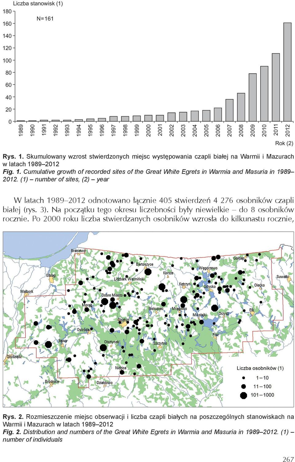 (1) number of sites, (2) year W latach 1989 212 odnotowano łącznie 45 stwierdzeń 4 276 osobników czapli białej (rys. 3). Na początku tego okresu liczebności były niewielkie do 8 osobników rocznie.