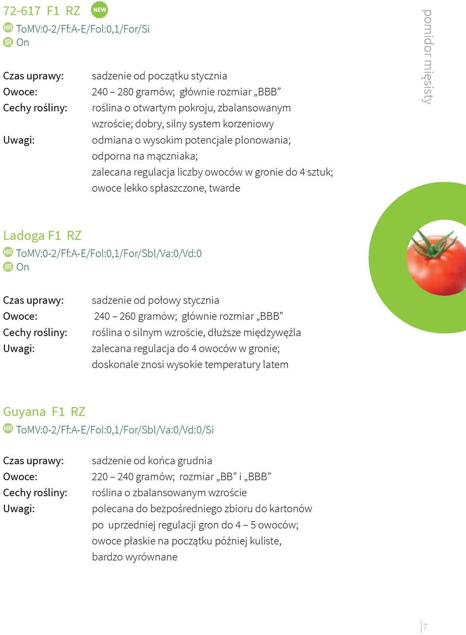 ToMV:0-2/Ff:A-E/Fol:0,1/For/Sbl/Va:0/Vd:0 On sadzenie od połowy stycznia 240 260 gramów; głównie rozmiar BBB roślina o silnym wzroście, dłuższe międzywęźla zalecana regulacja do 4 owoców w gronie;