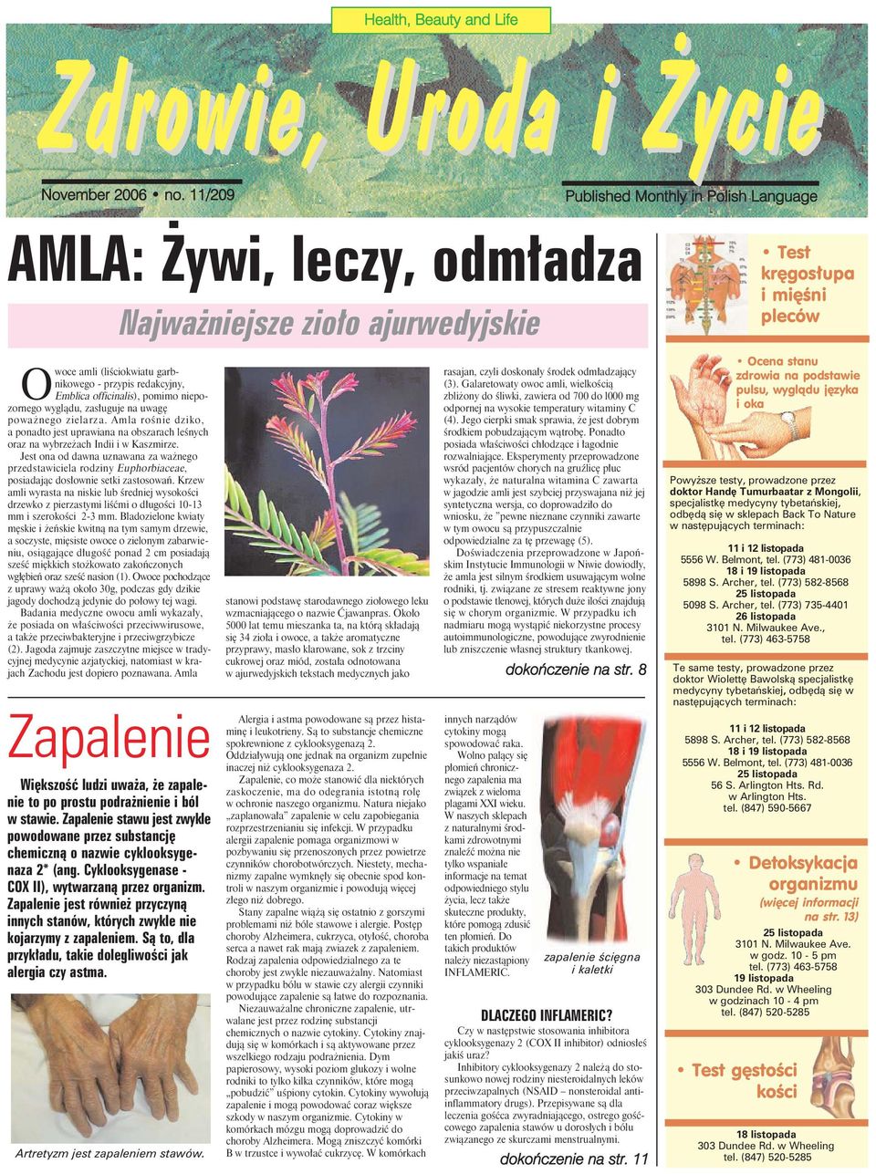 OEmblica officinalis), pomimo niepozornego wyglądu, zasługuje na uwagę poważnego zielarza. Amla rośnie dziko, a ponadto jest uprawiana na obszarach leśnych oraz na wybrzeżach Indii i w Kaszmirze.