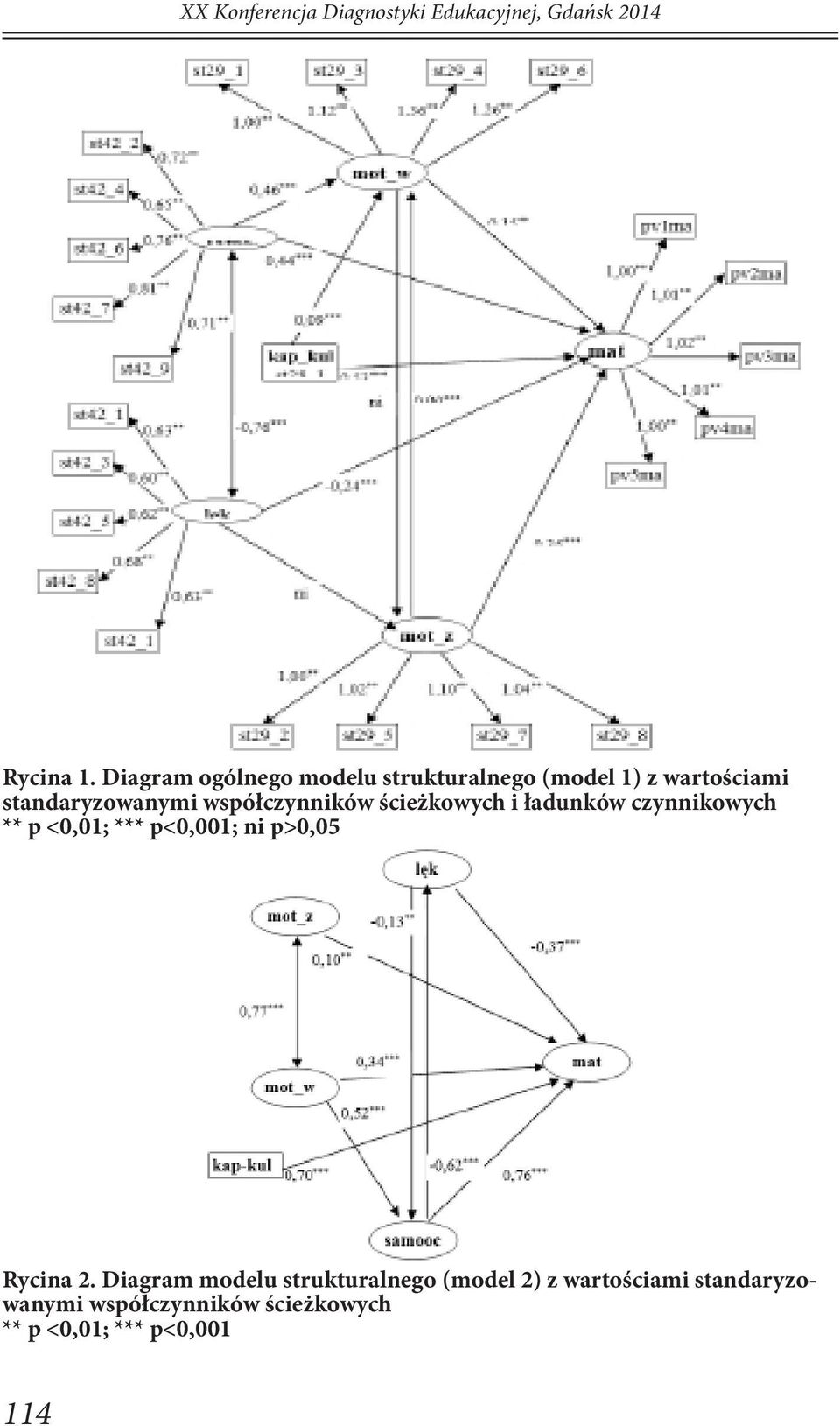 współczynników ścieżkowych i ładunków czynnikowych ** p <0,01; *** p<0,001; ni p>0,05