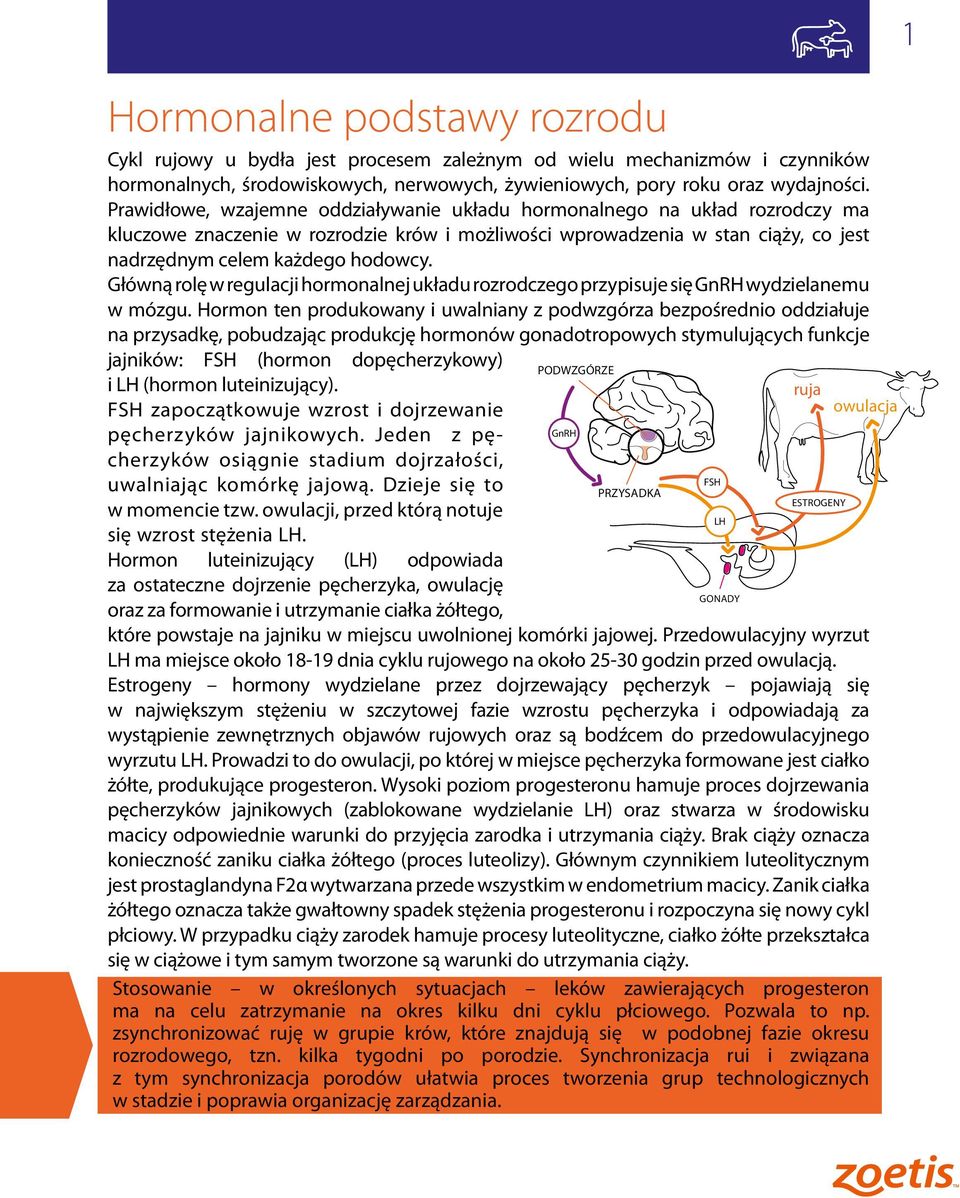 Główną rolę w regulacji hormonalnej układu rozrodczego przypisuje się GnRH wydzielanemu w mózgu.