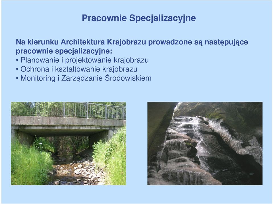 specjalizacyjne: Planowanie i projektowanie krajobrazu