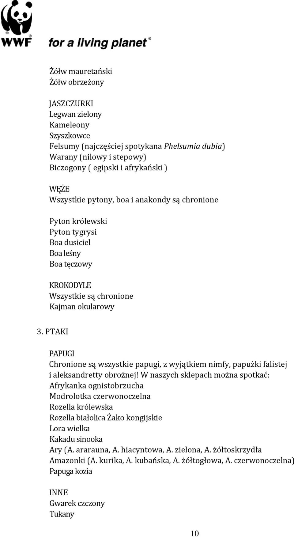 PTAKI PAPUGI Chronione są wszystkie papugi, z wyjątkiem nimfy, papużki falistej i aleksandretty obrożnej!