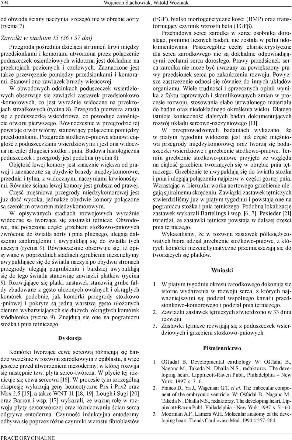 przekrojach poziomych i czołowych. Zaznaczone jest także przewężenie pomiędzy przedsionkami i komorami. Stanowi ono zawiązek bruzdy wieńcowej.