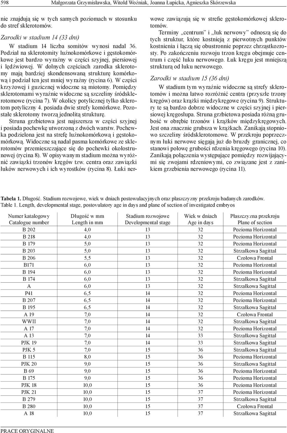 W dolnych częściach zarodka sklerotomy mają bardziej skondensowaną strukturę komórkową i podział ten jest mniej wyraźny (rycina 6). W części krzyżowej i guzicznej widoczne są miotomy.