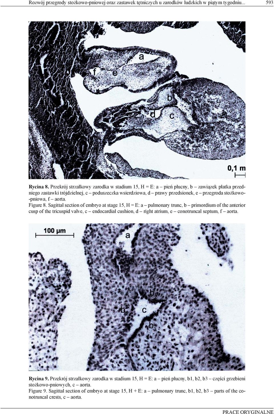 f aorta. Figure 8.