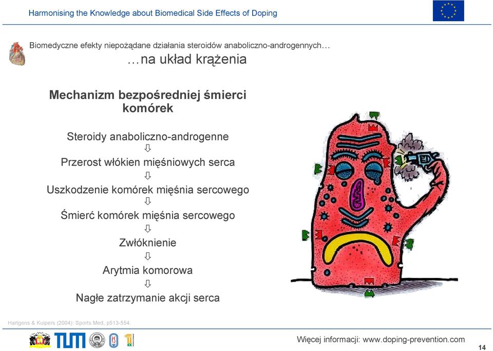 mięśniowych serca Uszkodzenie komórek mięśnia sercowego Śmierć komórek mięśnia sercowego