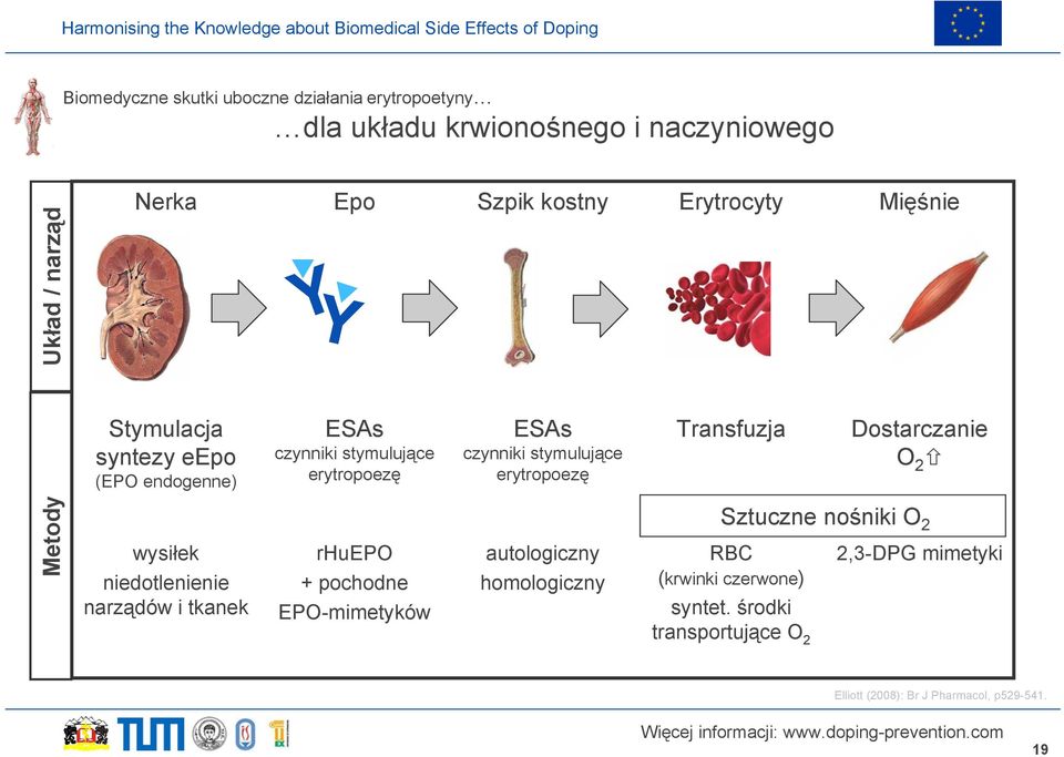 Transfuzja Dostarczanie O 2 Metody wysiłek niedotlenienie narządów i tkanek rhuepo + pochodne EPO-mimetyków autologiczny homologiczny