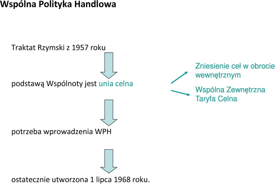 obrocie wewnętrznym Wspólna Zewnętrzna Taryfa Celna