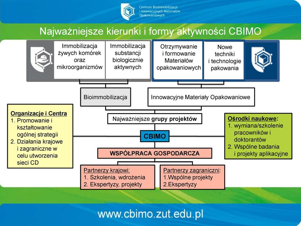 Promowanie i kształtowanie ogólnej strategii 2. Działania krajowe i zagraniczne w celu utworzenia sieci CD Najważniejsze grupy projektów Partnerzy krajowi: 1.