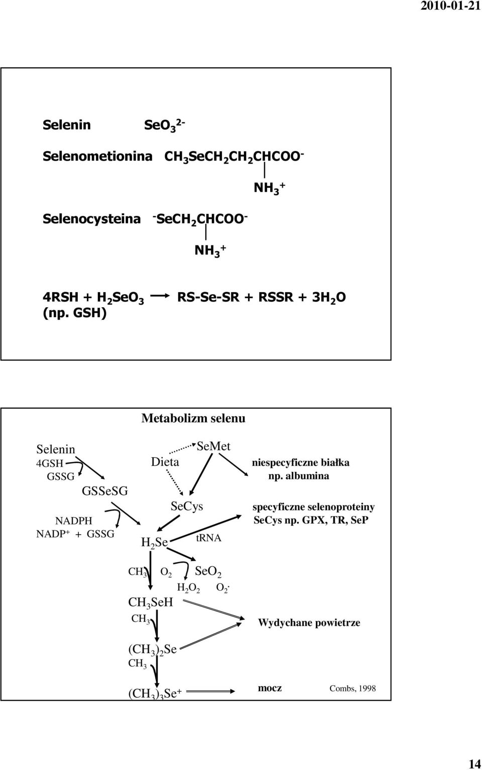 GSH) RS-Se-SR + RSSR + 3H 2 O Selenin 4GSH GSSG GSSeSG NADPH NADP + + GSSG Metabolizm selenu SeMet Dieta SeCys