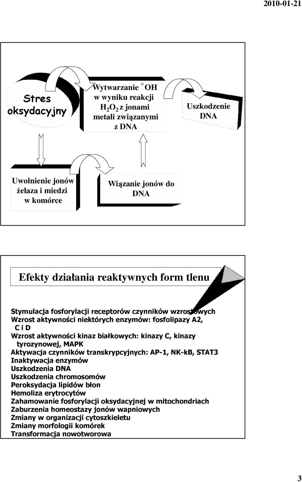 kinazy C, kinazy tyrozynowej, MAPK Aktywacja czynników transkrypcyjnych: AP-1, NK-kB, STAT3 Inaktywacja enzymów Uszkodzenia DNA Uszkodzenia chromosomów Peroksydacja lipidów błon Hemoliza