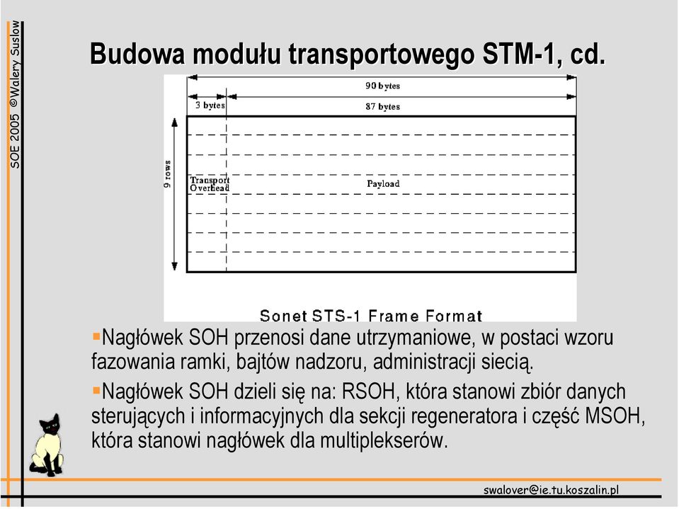 nadzoru, administracji siecią.