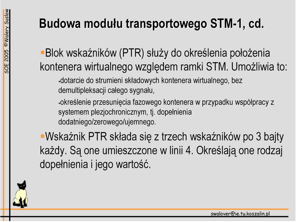 Umożliwia to: dotarcie do strumieni składowych kontenera wirtualnego, bez demultipleksacji całego sygnału, określenie przesunięcia