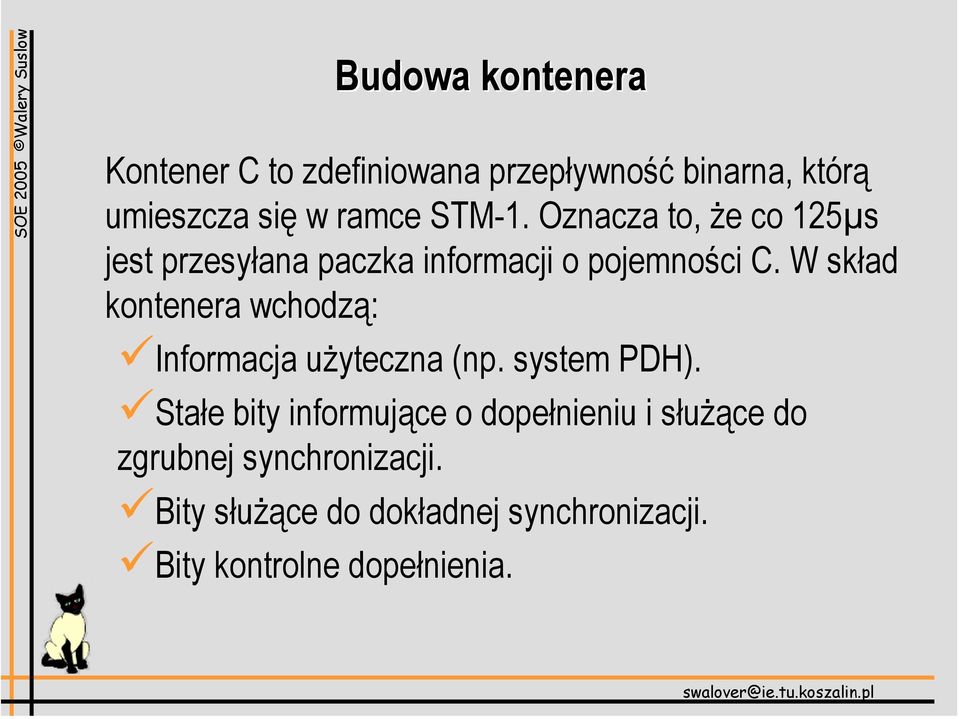 W skład kontenera wchodzą: Informacja użyteczna (np. system PDH).