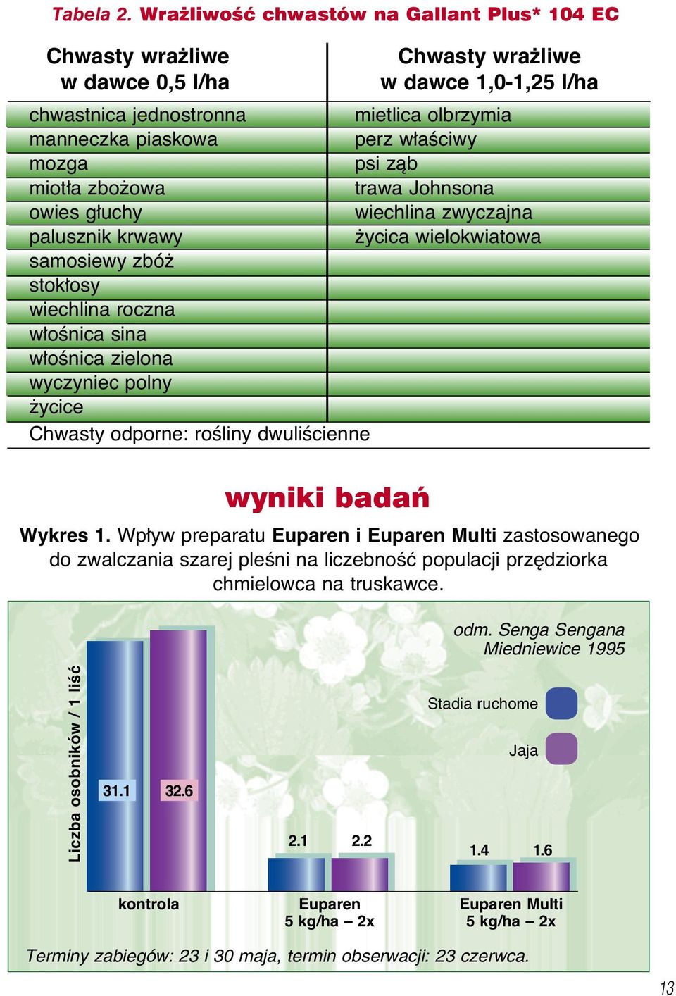 psi zàb miot a zbo owa trawa Johnsona owies g uchy wiechlina zwyczajna palusznik krwawy ycica wielokwiatowa samosiewy zbó stok osy wiechlina roczna w oênica sina w oênica zielona wyczyniec polny