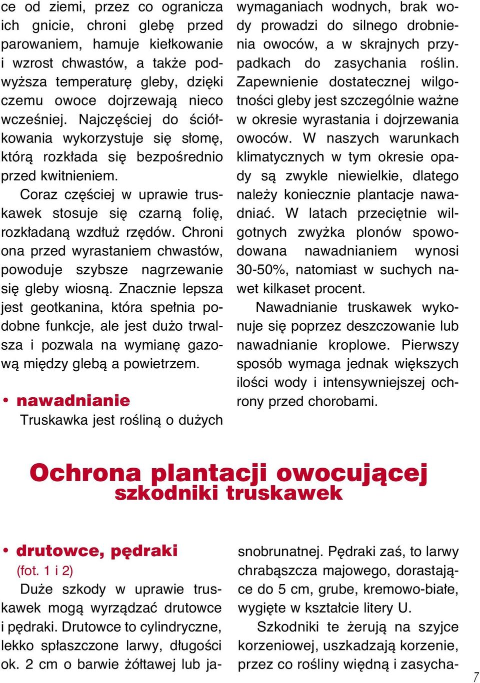 Chroni ona przed wyrastaniem chwastów, powoduje szybsze nagrzewanie si gleby wiosnà.