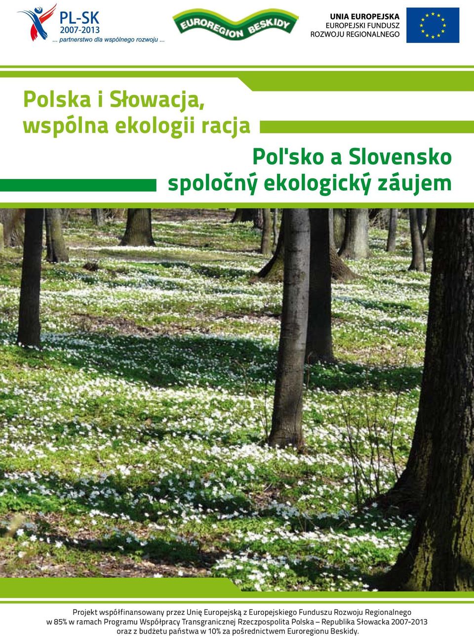 Regionalnego w 85% w ramach Programu Współpracy Transgranicznej Rzeczpospolita Polska