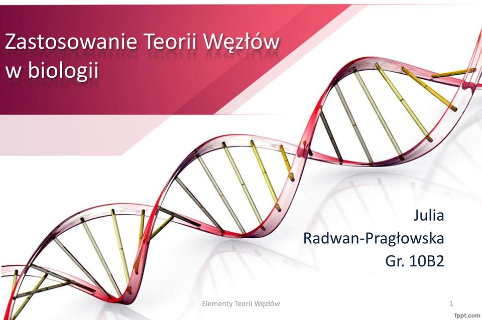 Radwan-Pragłowska Gr.