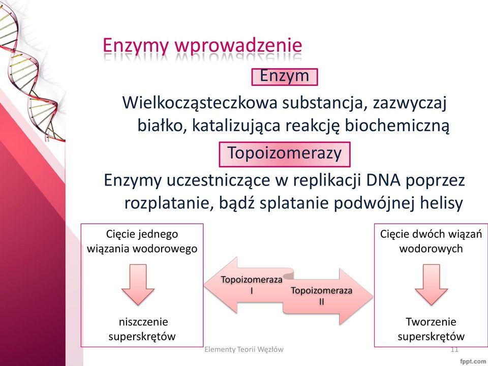 splatanie podwójnej helisy Cięcie jednego wiązania wodorowego Cięcie dwóch wiązań wodorowych