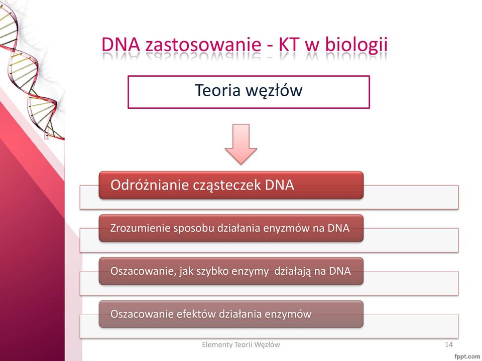 enyzmów na DNA Oszacowanie, jak szybko enzymy działają na