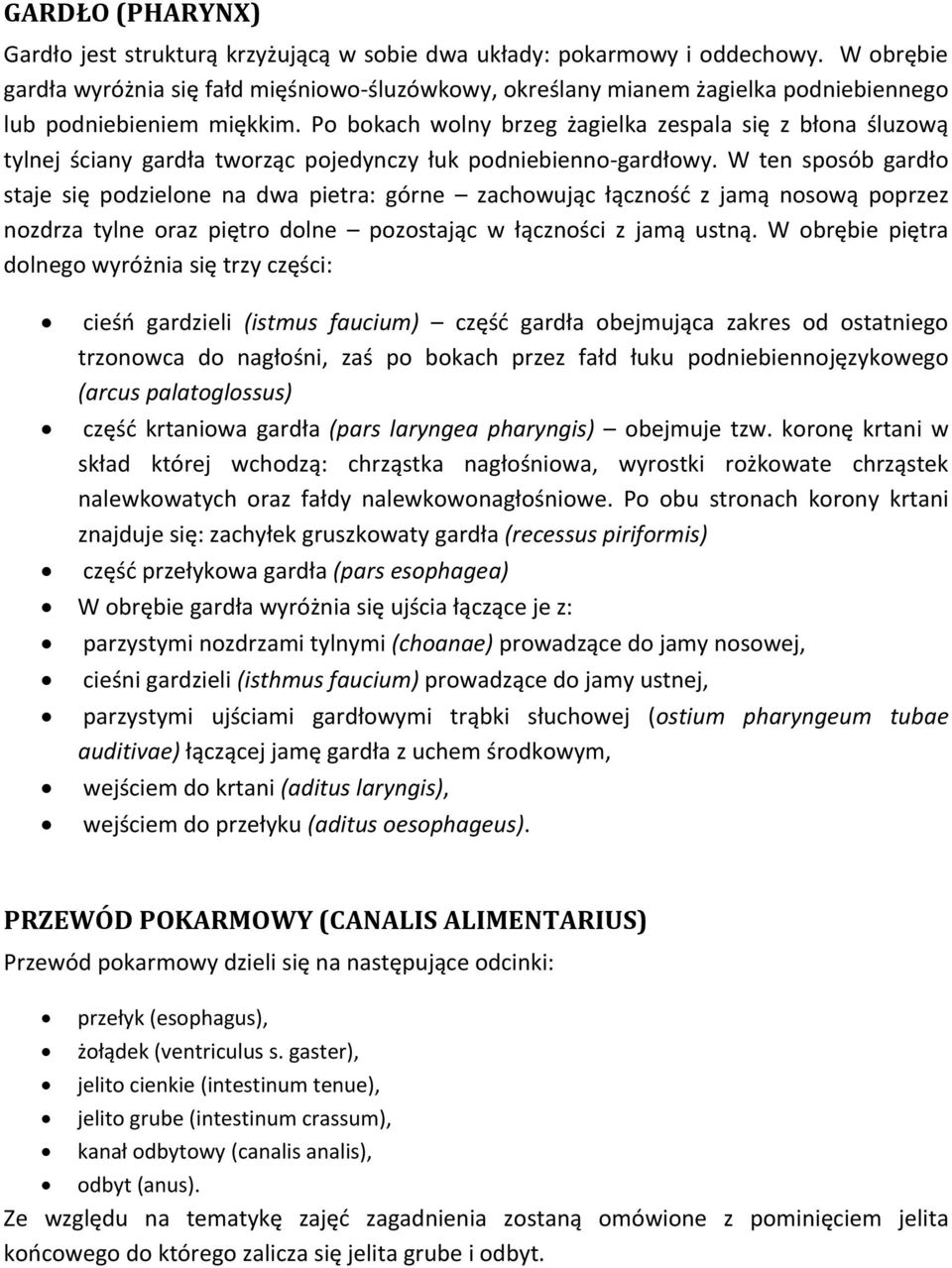 Po bokach wolny brzeg żagielka zespala się z błona śluzową tylnej ściany gardła tworząc pojedynczy łuk podniebienno-gardłowy.