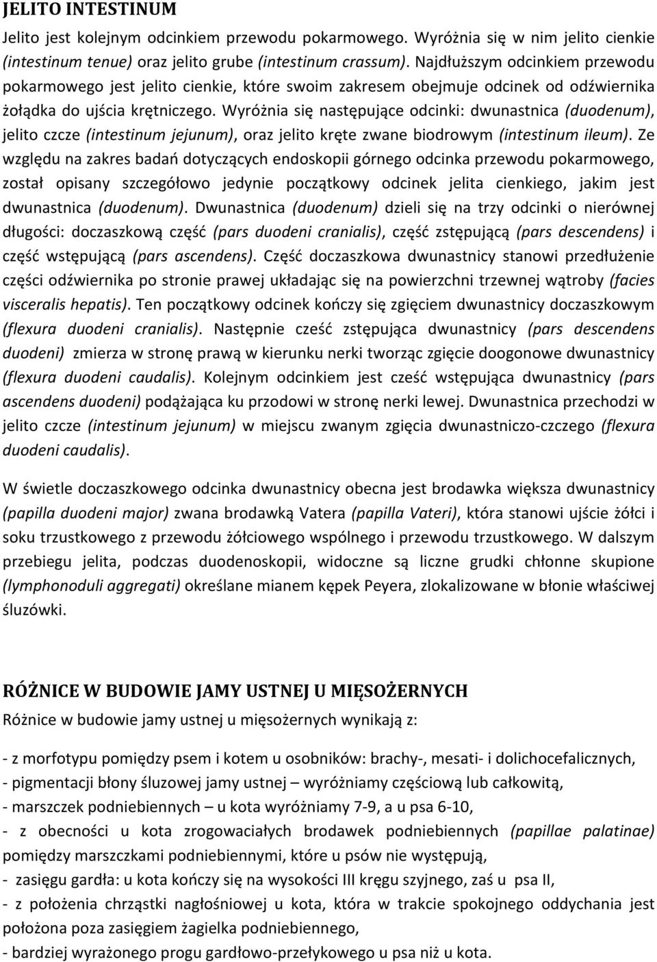 Wyróżnia się następujące odcinki: dwunastnica (duodenum), jelito czcze (intestinum jejunum), oraz jelito kręte zwane biodrowym (intestinum ileum).