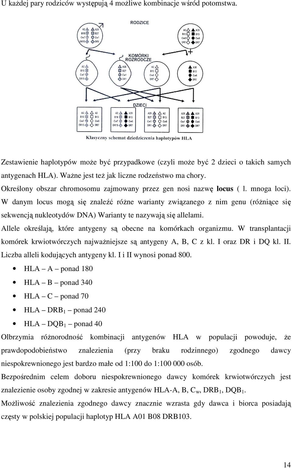 W danym locus mogą się znaleźć róŝne warianty związanego z nim genu (róŝniące się sekwencją nukleotydów DNA) Warianty te nazywają się allelami.